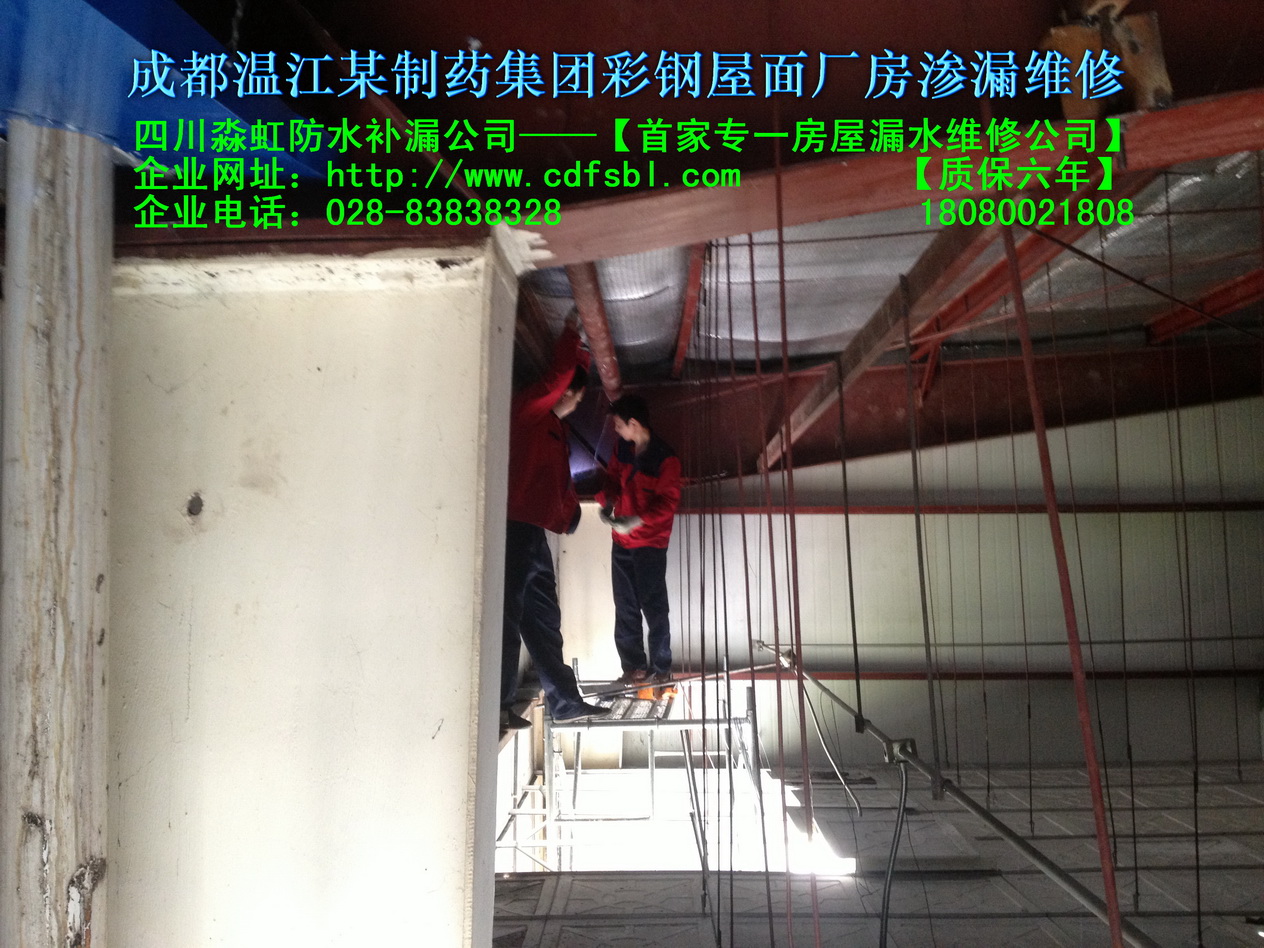 成都温江某制药集团彩钢屋面厂房渗漏维修